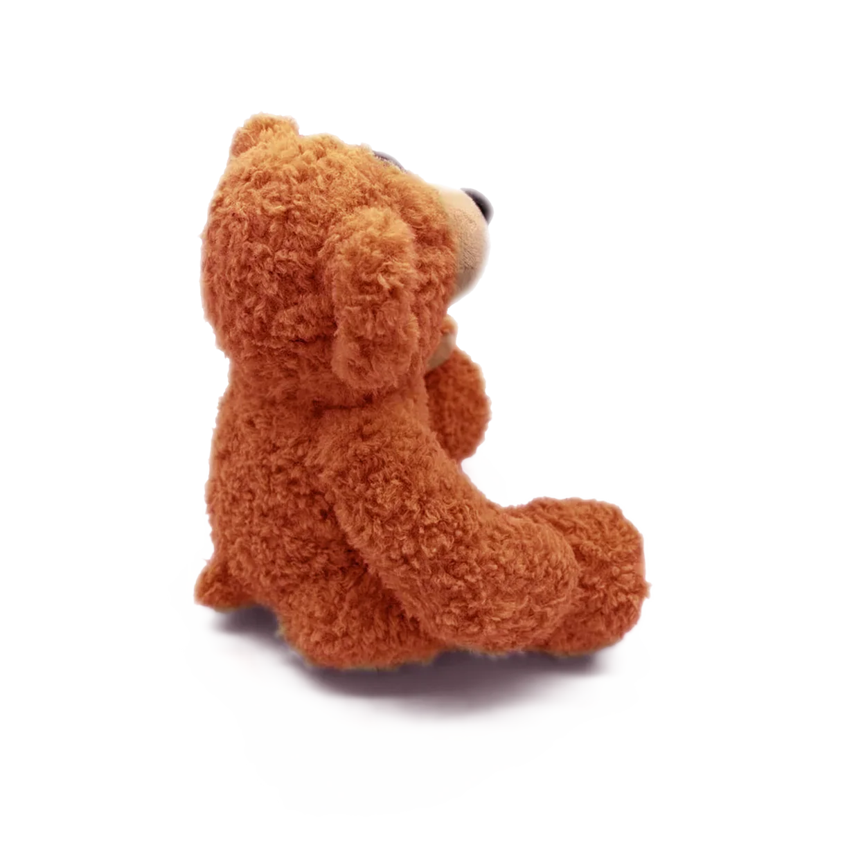 The Demise Of Planet X Teddy - Image 4